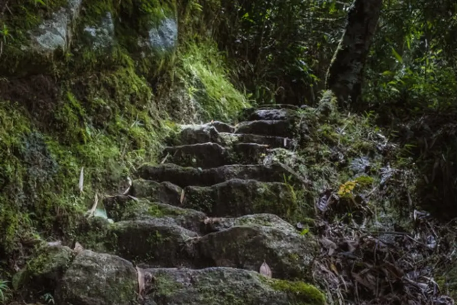 Inca Trail to Machu Picchu